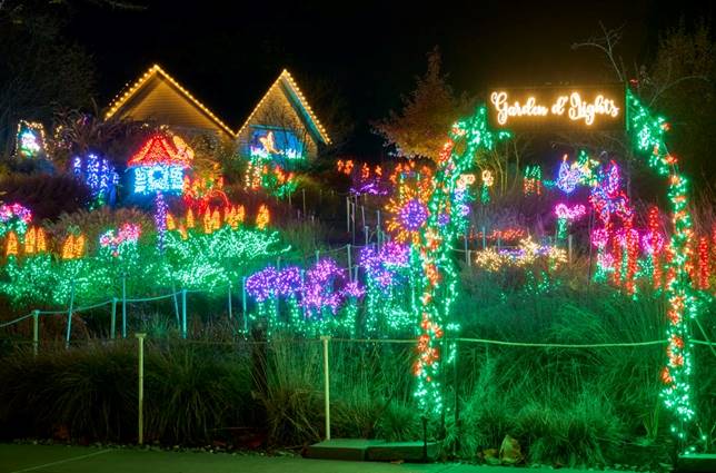 May be an image of lighting and text